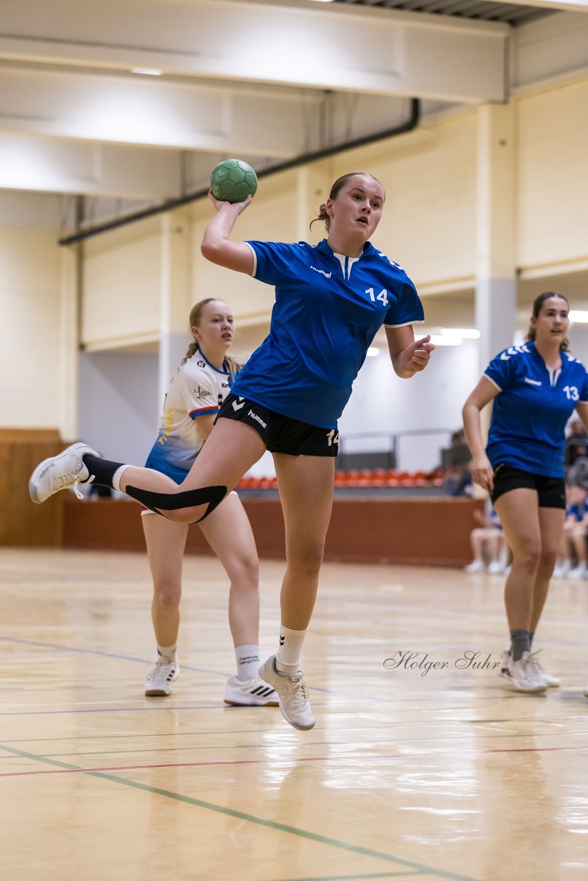 Bild 123 - wCJ TSV Ellerau - SG Pahlhude/Tellingstedt : Ergebnis: 21:18